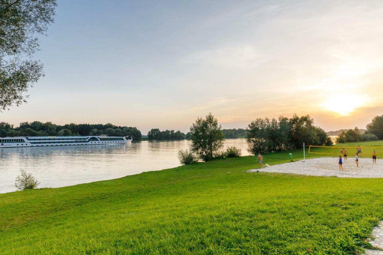 Camping & Guest house 3*